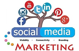 Flamingo Infotech: Best digital marketing agency in Delhi.