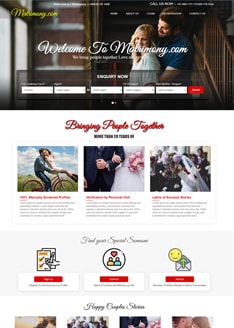Flamingo Infotech: best website designer
