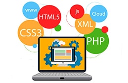 Flamingo Infotech: Best website development company in Delhi.