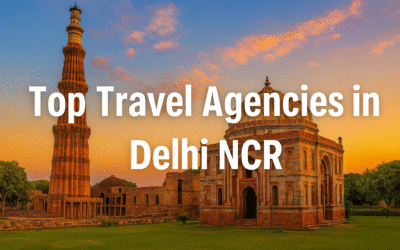 Top 20 Travel Agencies in Delhi NCR